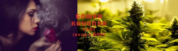 кокс Белокуриха